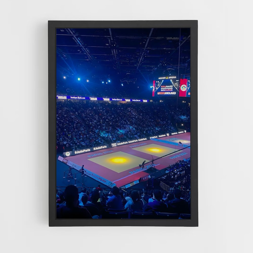 Poster Esprit de Judo (vue 2)